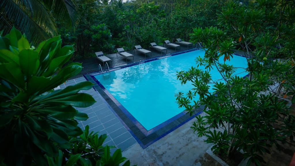 uma vista sobre uma piscina com cadeiras e árvores em Ginganga Lodge em Galle