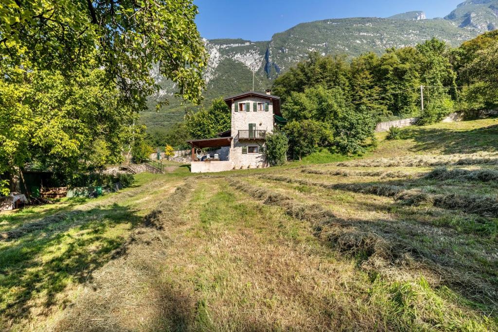 a house in the middle of a field with trees at Panoramic Green Studio in Malcesine