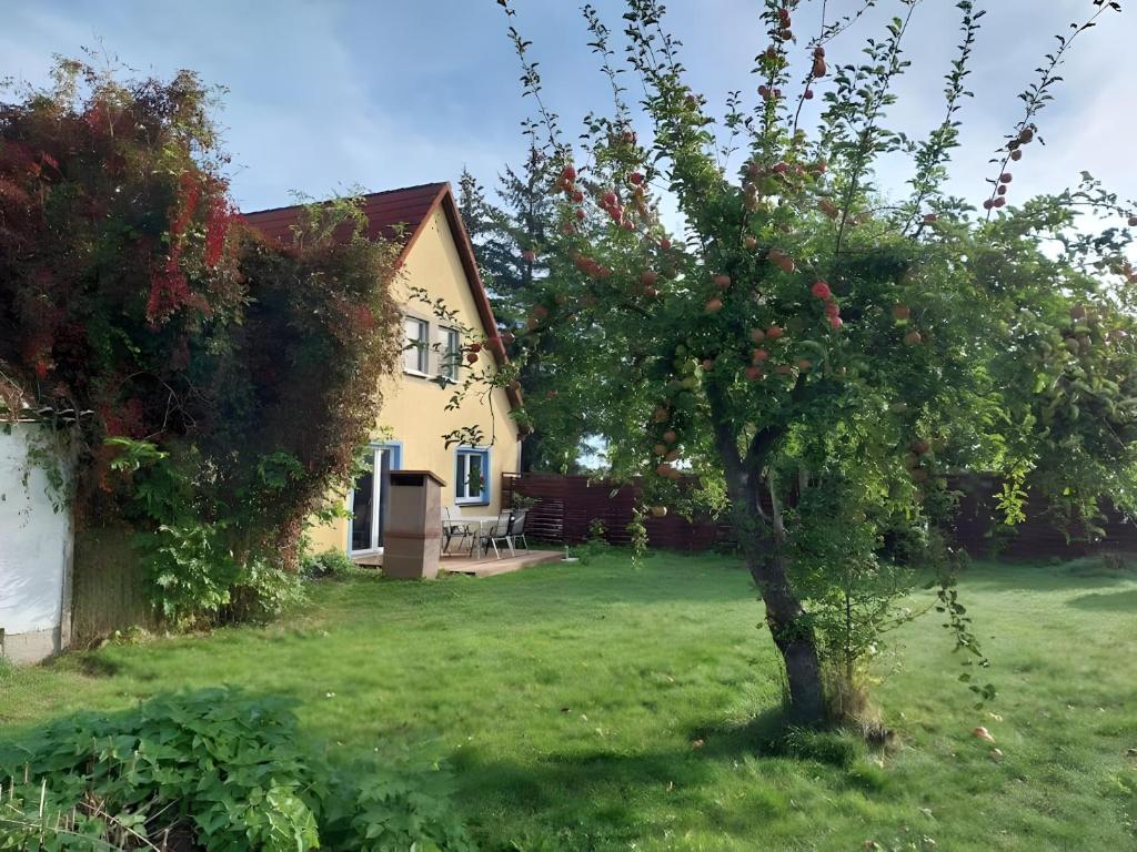 a house with an apple tree in the yard at Ferienwohnung Naturglück in Sundhagen-Niederhof