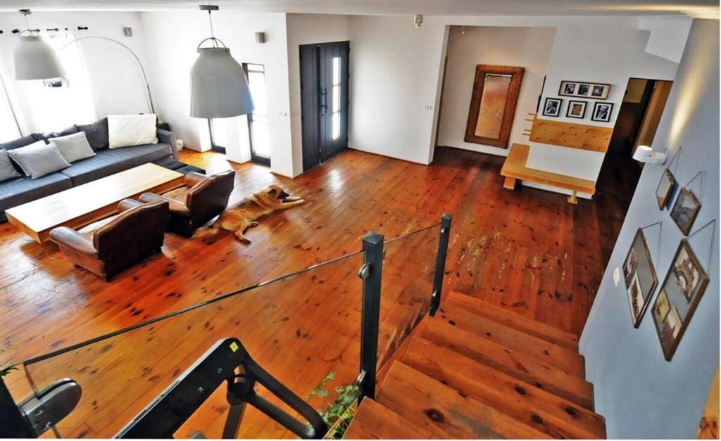 a living room with a couch and a dog on the floor at וילה levi in Chorazim