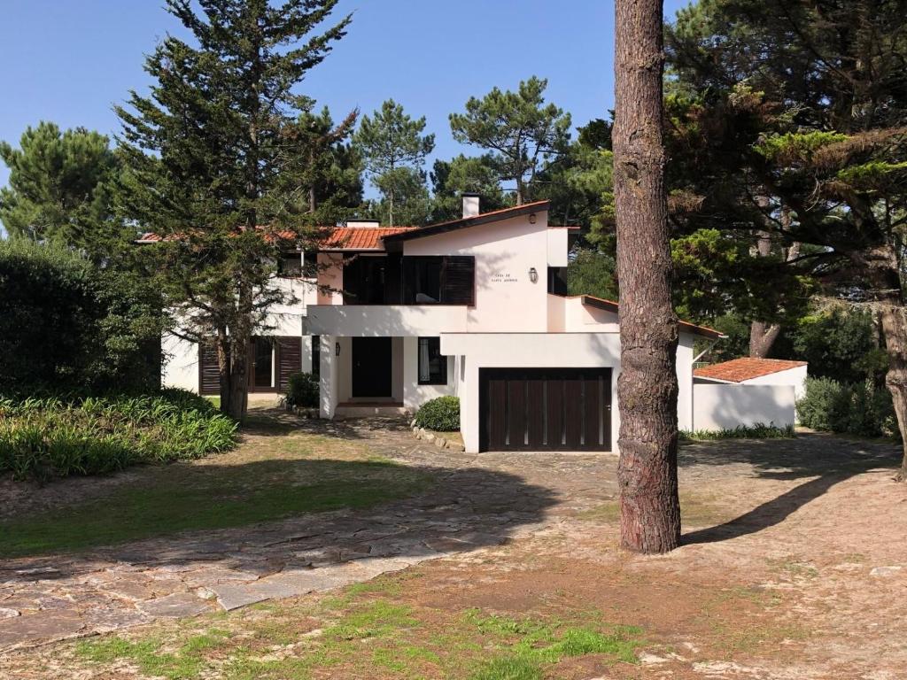 a white house with a tree in front of it at Casa de Santo António Moledo in Moledo