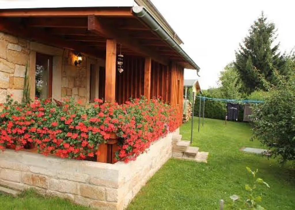 a flower box with red flowers on the side of a house at Jörgs Ferienwohnung Lohmen in Lohmen