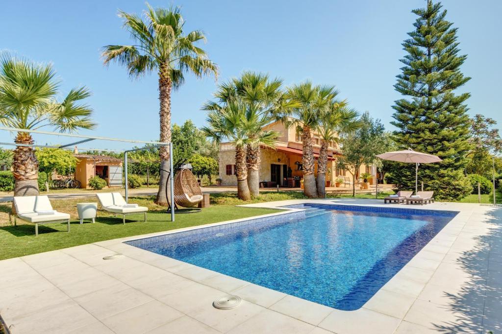 a villa with a swimming pool and palm trees at Es Vinyo in Biniali