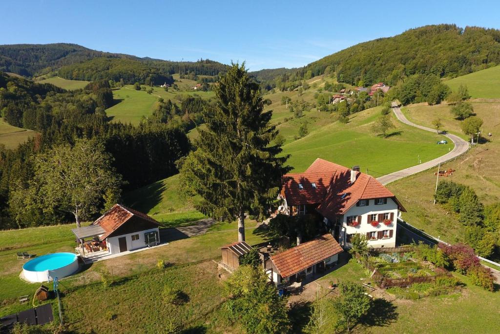 an aerial view of a house on a hill at Ferienwohnung 'auf dem Burstel' in Kleines Wiesental