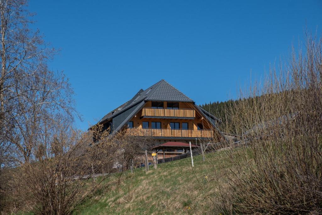 a house on top of a hill with trees at Gantershof in Titisee-Neustadt