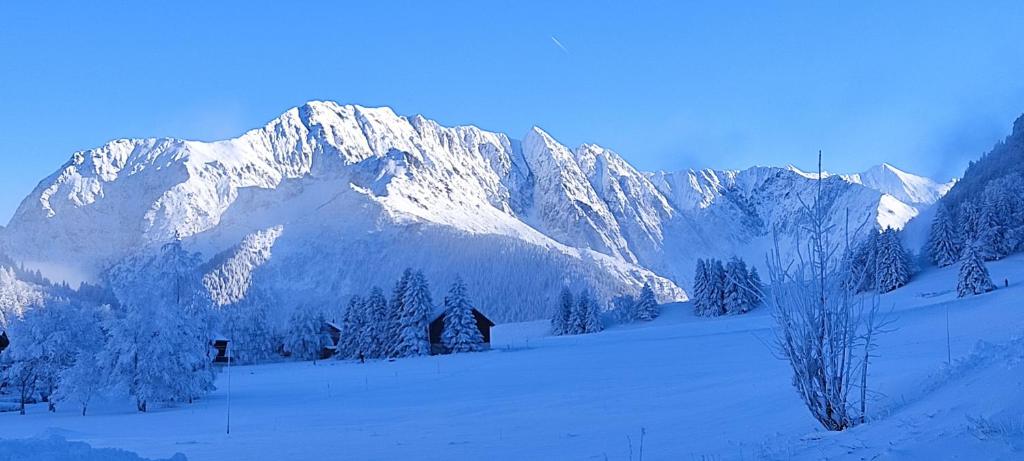 a snow covered mountain range with trees and a house at Studio Appartement Grand Serre in La Morte