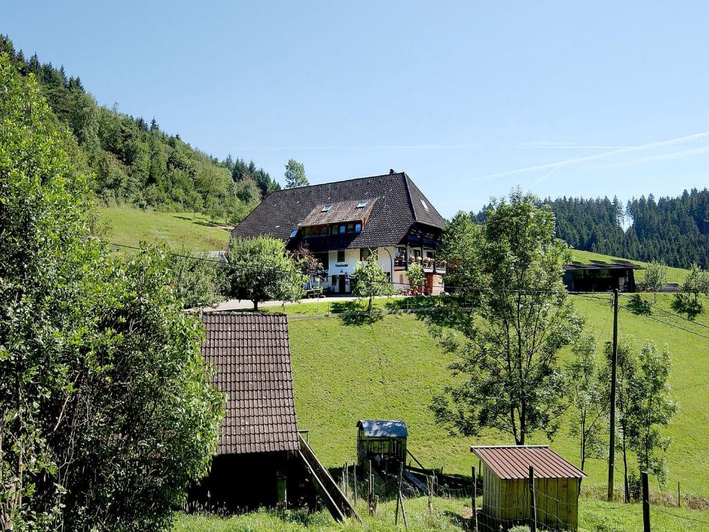 a house sitting on top of a green hill at Rinkenbachhof in Schenkenzell