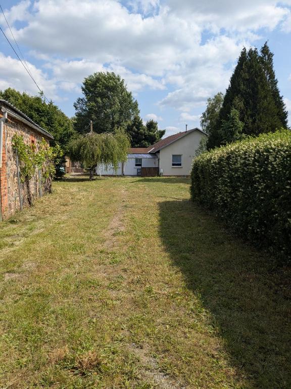 a yard with a house and a hedge at Haus im Grünen in Calau