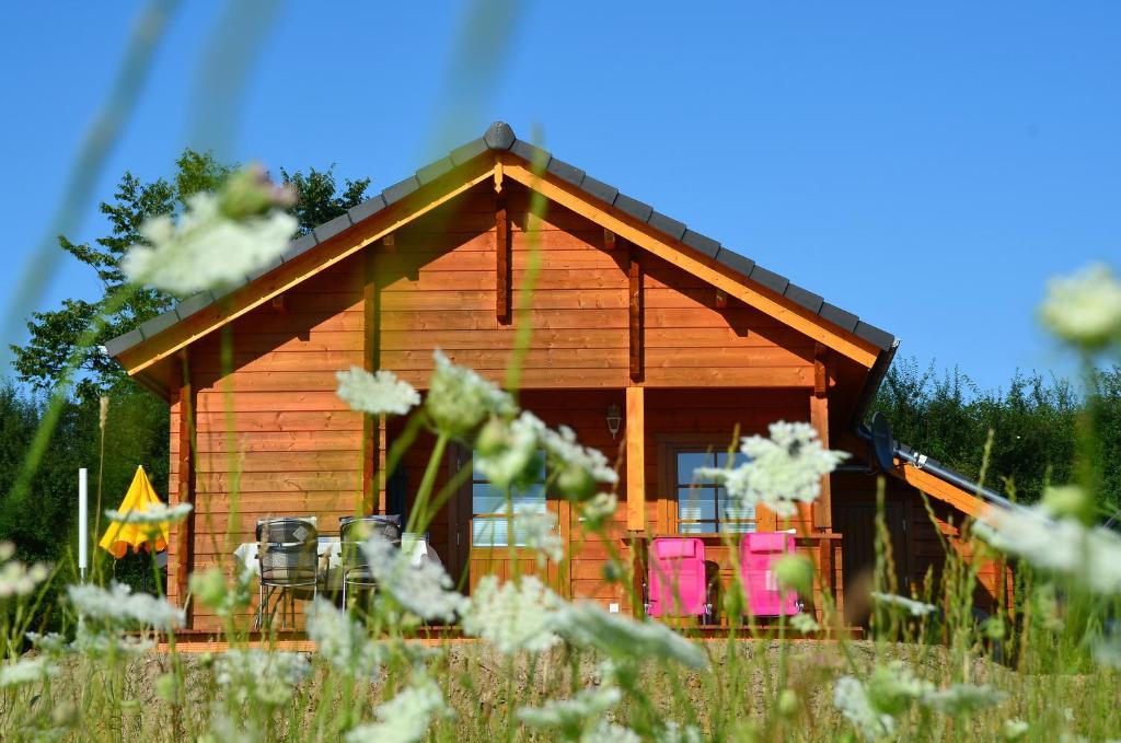 a log cabin with pink chairs in a field at Ferienhaus Gross Nemerow in Groß Nemerow