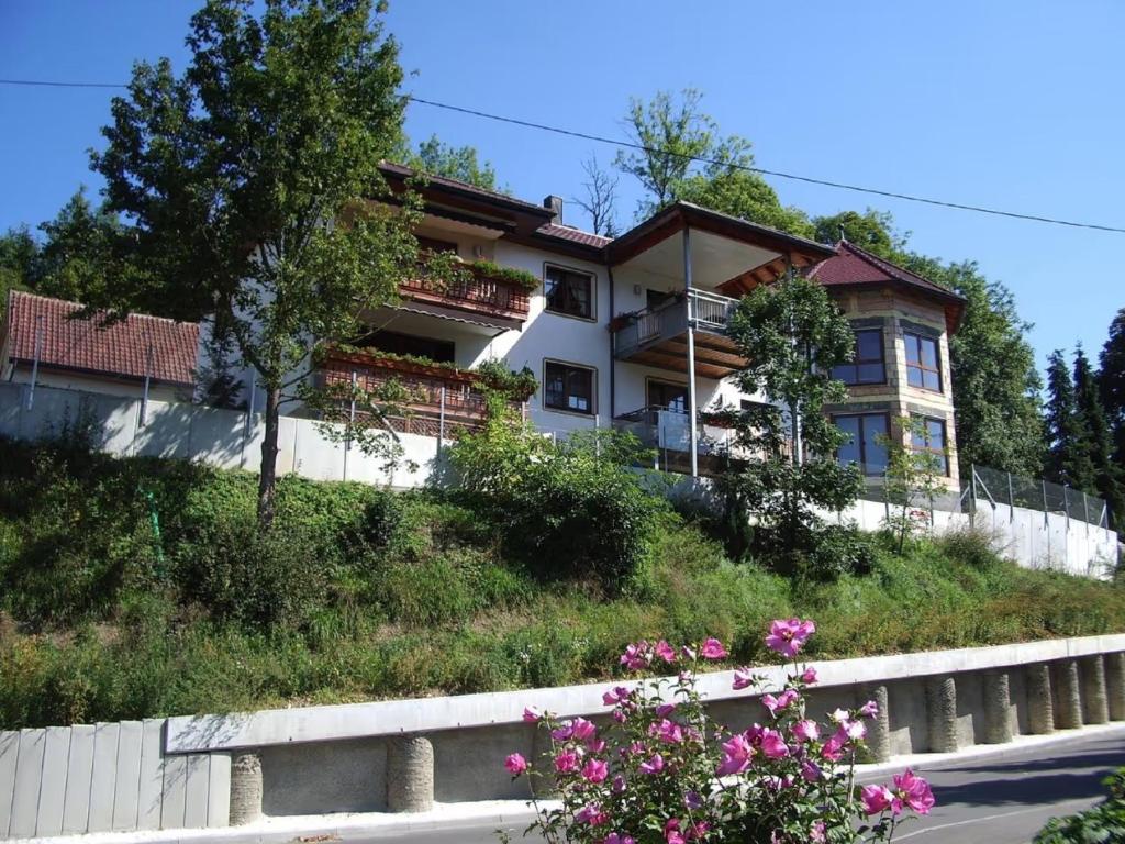 a house on the side of a hill with flowers at Ferienwohnung Braun in Seelfingen