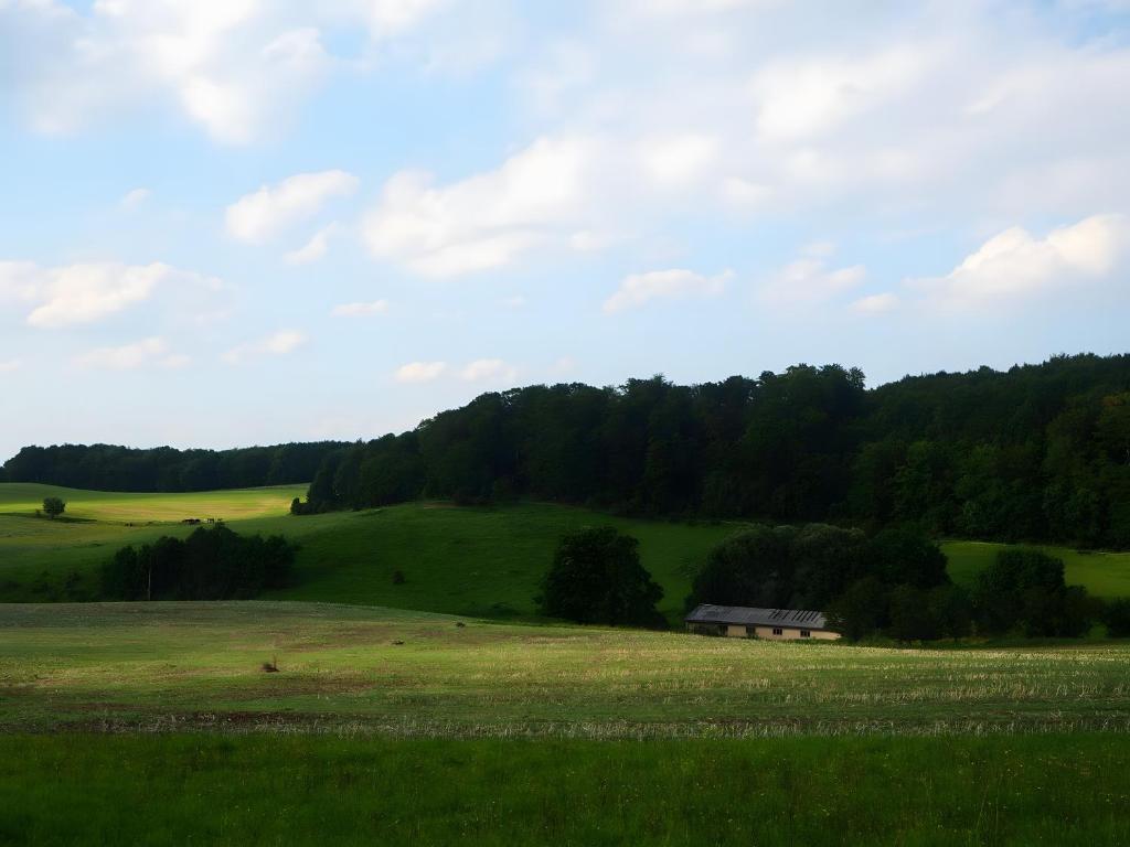 a green field with a barn in the middle of it at Clausberg Ferienwohnungen in Gerstungen