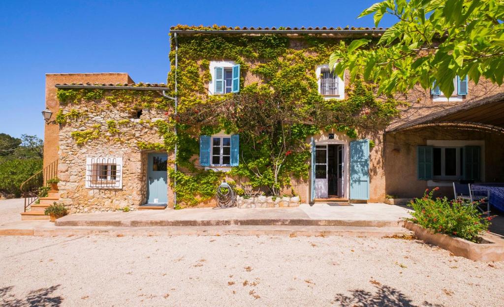 an old stone house with ivy growing on it at Baix d' Or in Felanitx