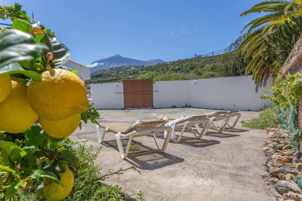 a row of lounge chairs on a patio with oranges at Las Casas del Bisa in Garachico