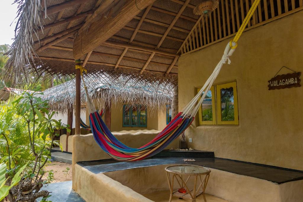 Zahrada ubytování De Silva Wind Resort Kalpitiya - Kitesurfing School Sri Lanka