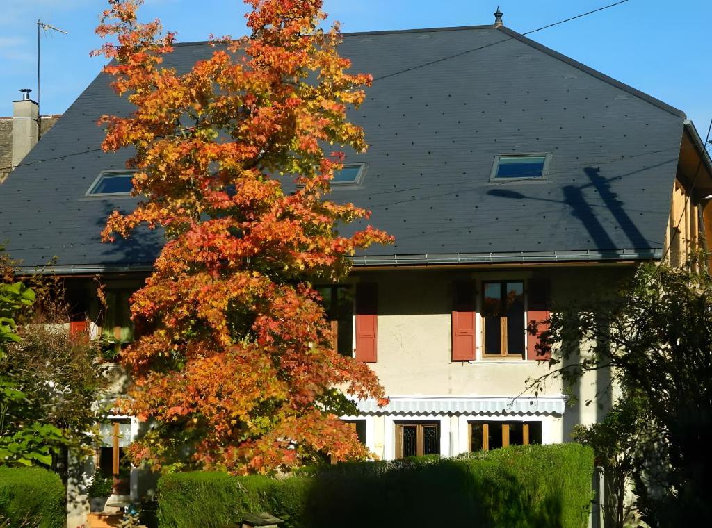 a house with a tree in front of it at studio Le Cabanon in Doussard
