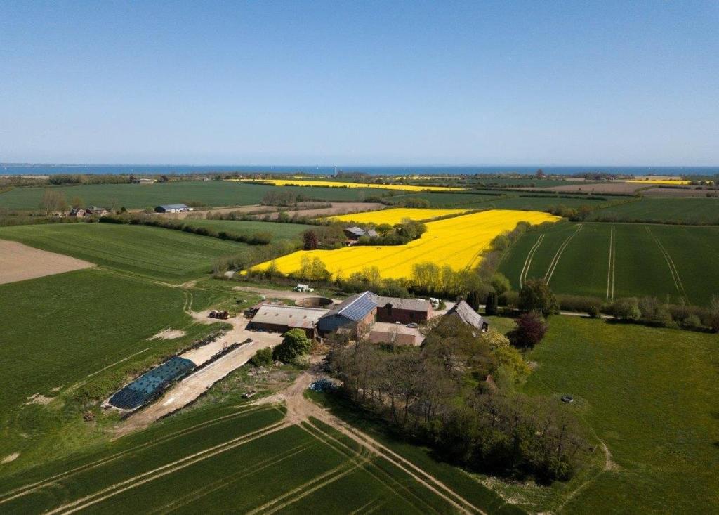 an aerial view of a farm with a yellow field at Ferienwohnung Hoffarth 1 in Gelting