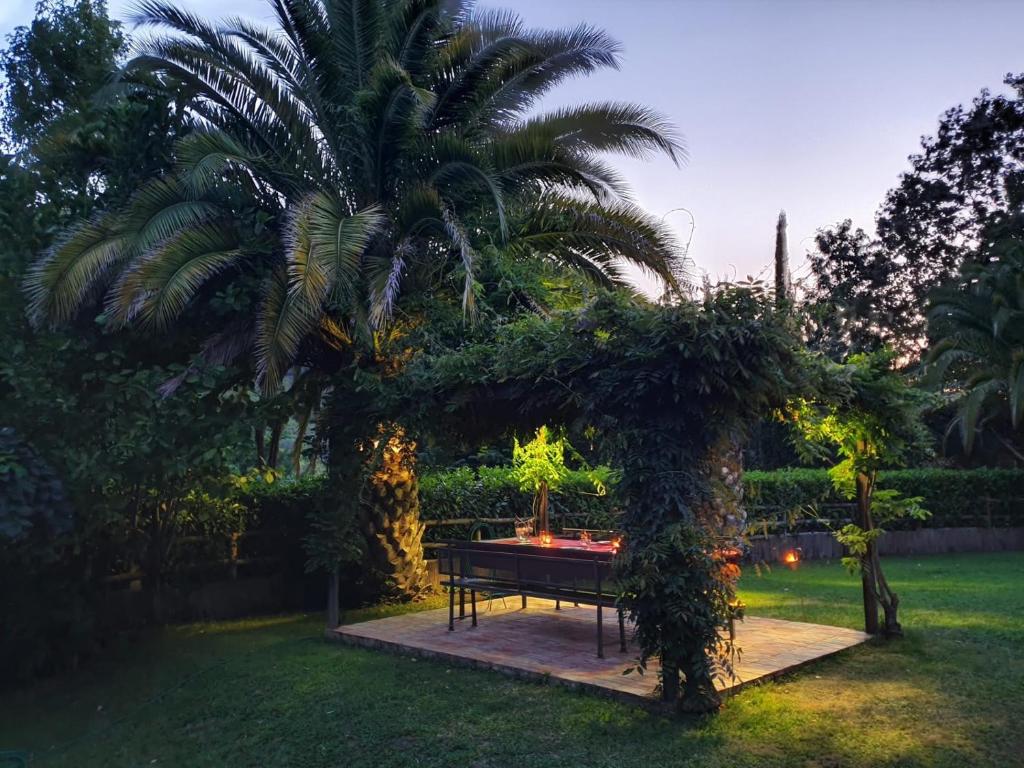a picnic table in a garden with a palm tree at Quinta Pé Franco in Medrões