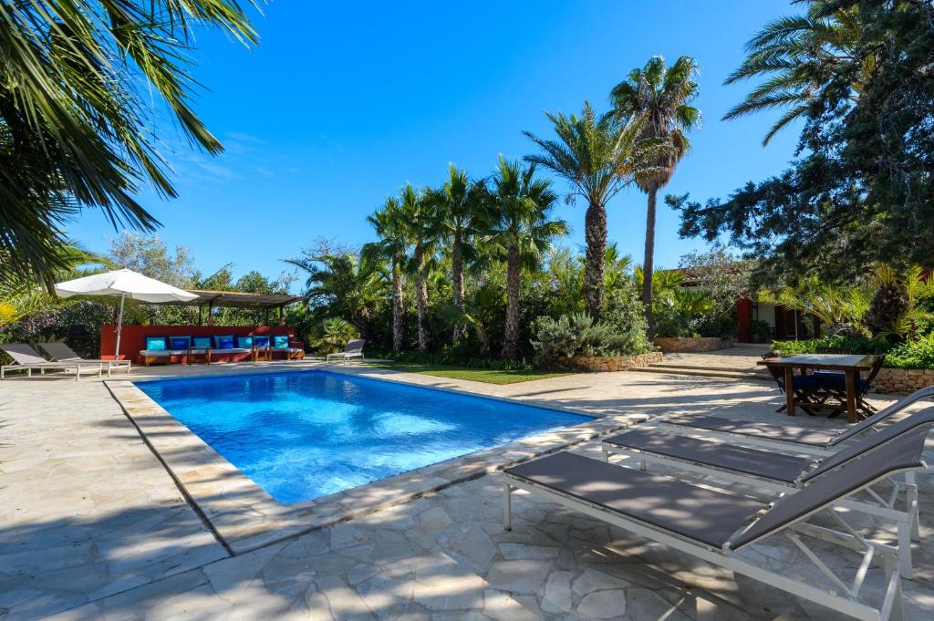 a pool with chairs and a table and palm trees at La Vila Ibiza in Sant Josep de sa Talaia