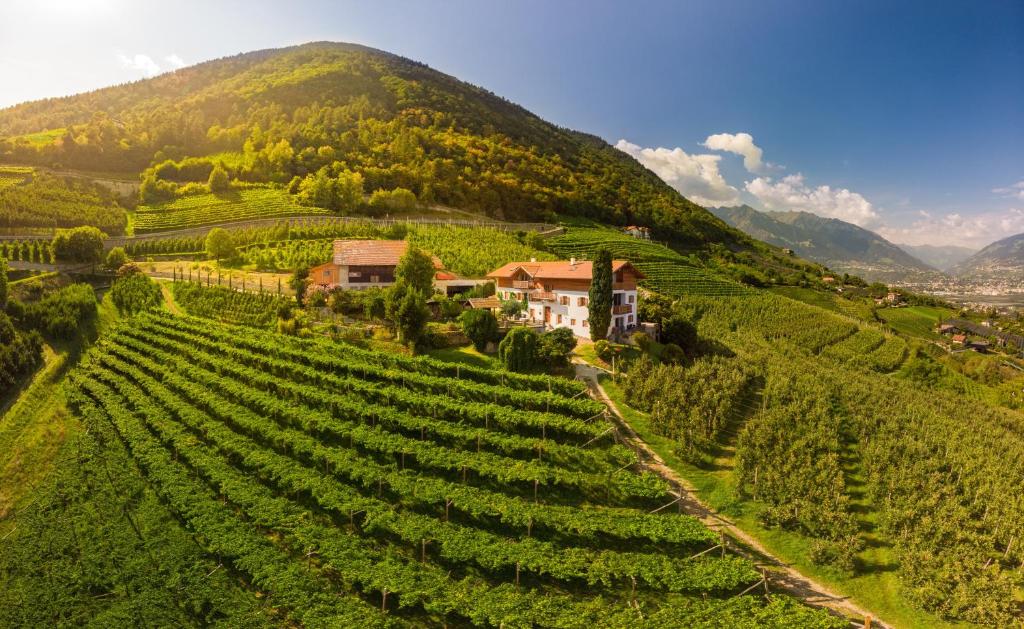 a house on a hill next to a vineyard at Greiterhof in Lana