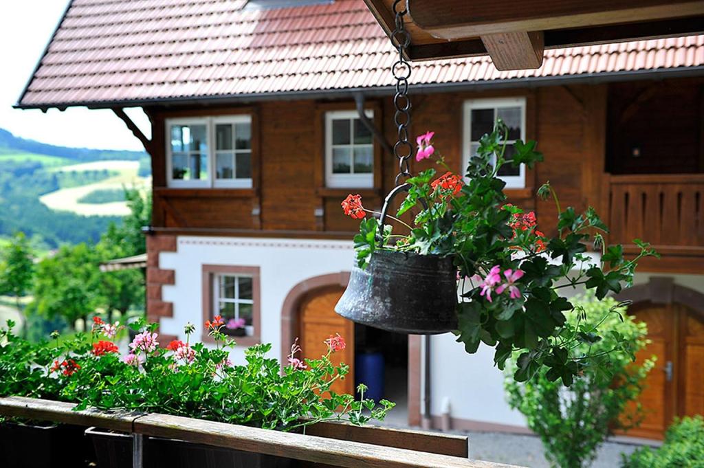 a pot of flowers hanging from a house at Riehle Hof in Zell am Harmersbach