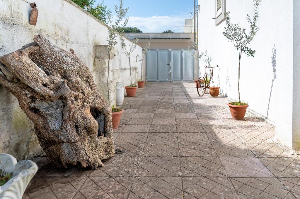 eine Gasse mit Topfpflanzen an der Seite eines Gebäudes in der Unterkunft Db Apartment in Giurdignano