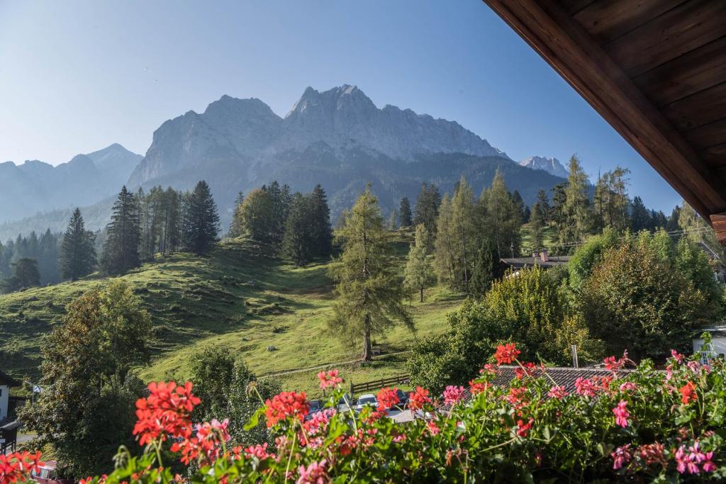 a view of the mountains from a garden with flowers at Ferienwohnung Daniel in Grainau