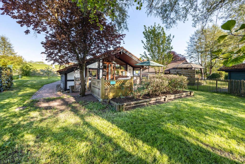 a house with a large yard with a fence at Möwe in Twielenfleth