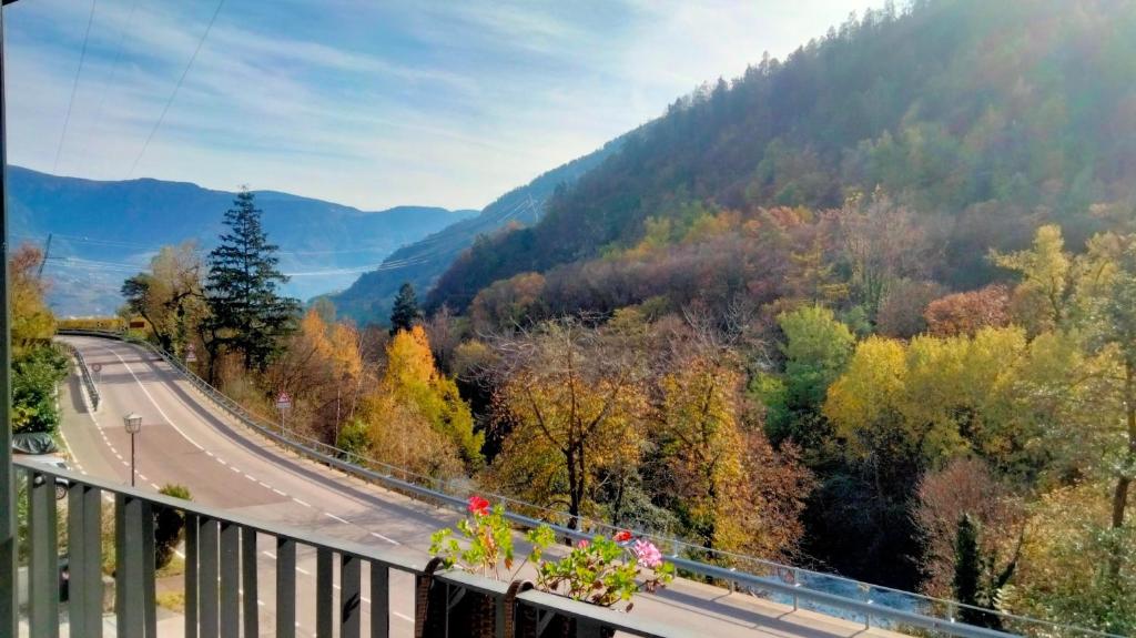 a view of a road in the mountains with trees at Apartment Pauli in Lagundo