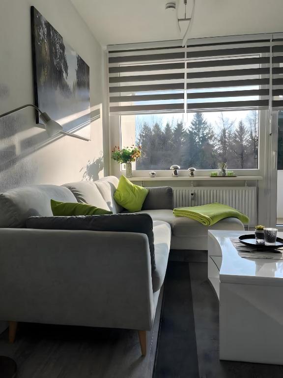 a living room with a couch and a large window at Ferienwohnung deluxe in Goslar