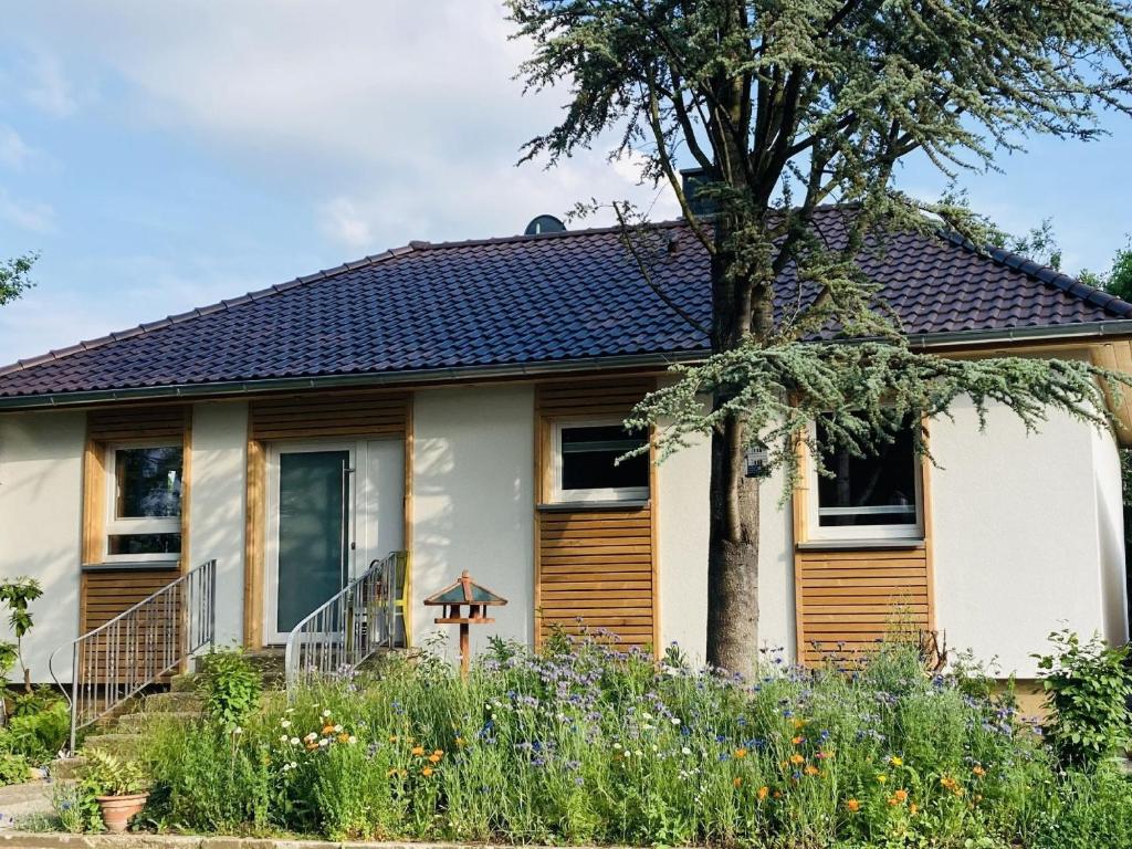 a house with a tree in front of it at Ferienhaus Urwald in Hofgeismar