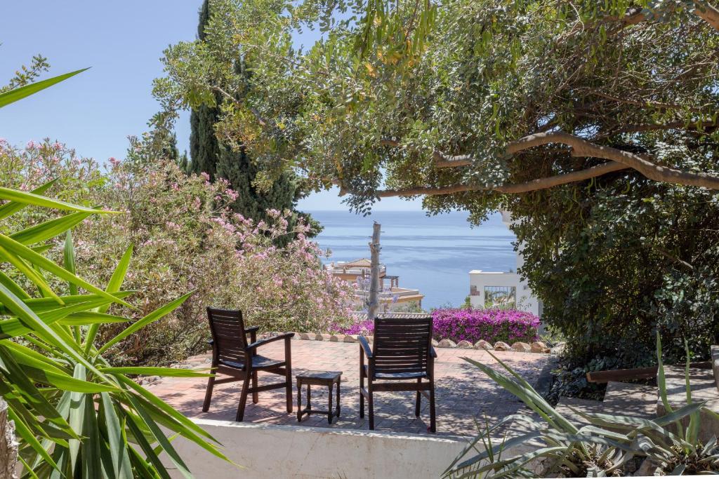 a group of chairs sitting under a tree at Apartment Luna in Salobreña