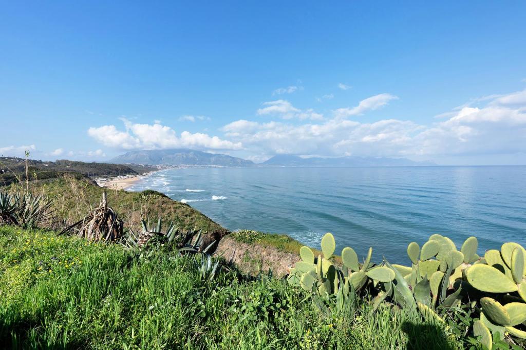 a view of the ocean from a hill with plants at I Tramonti Del Golfo - Kennedy in Balestrate