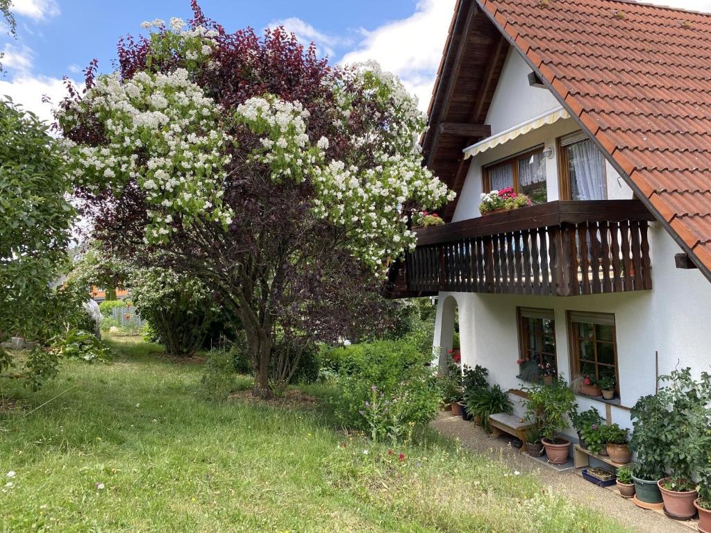 a white house with a tree and a balcony at Ferienwohnung Birkenberger in Löffingen