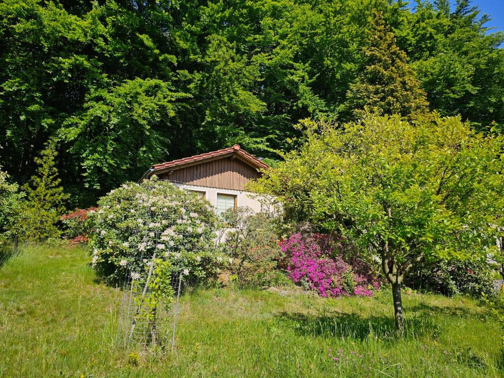 a house in the middle of a field with trees at Ferienhaus am Wald mit Südblick in Steina