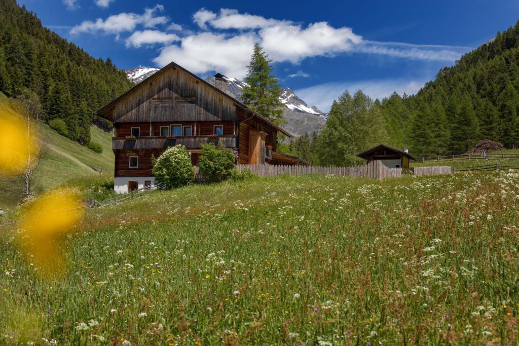 a house on a hill with a field of flowers at Chalet Kasern in Gais