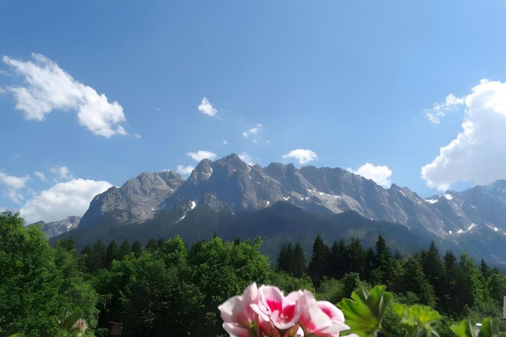 a pink flower in front of a mountain at Ferienwohnung Zugspitze in Grainau