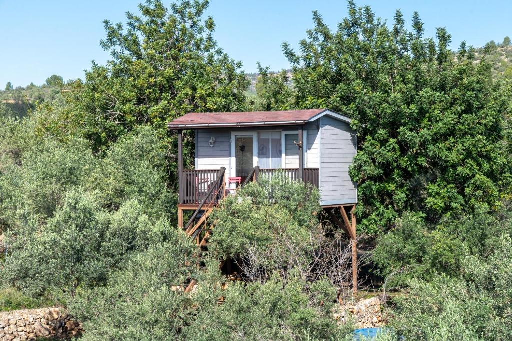 a tiny house in the middle of the woods at Casa Arbol in Camarles