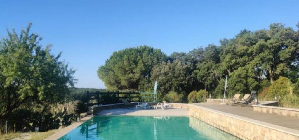 a large pool of water with trees in the background at Piccolo Paradiso - Riparbella in Riparbella