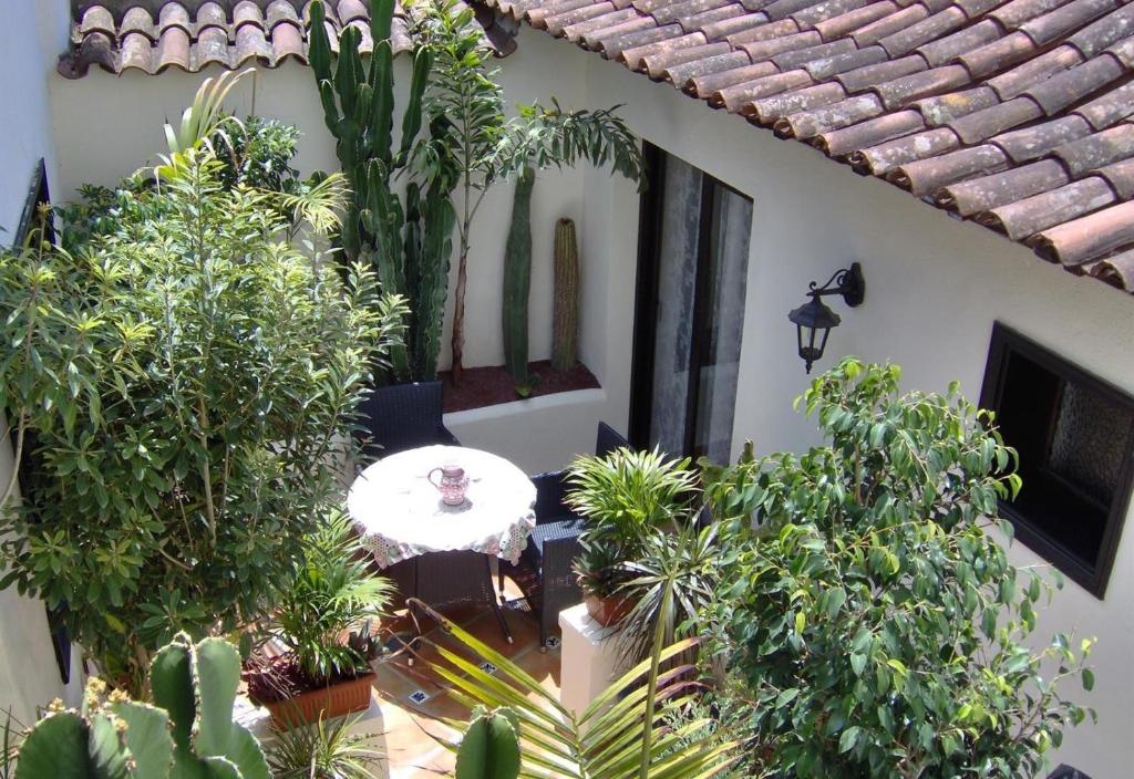 a garden with a table and some plants at Aptos Monasterio de San Antonio 1 in Icod de los Vinos