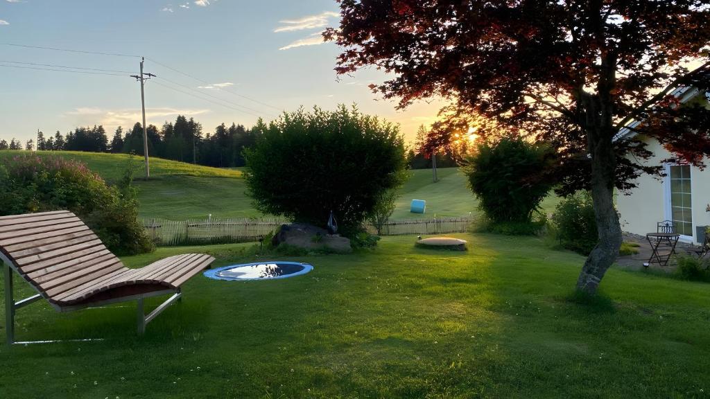 a bench sitting in a yard with a dog fountain at Pfoten und Berge Oberreute in Oberreute