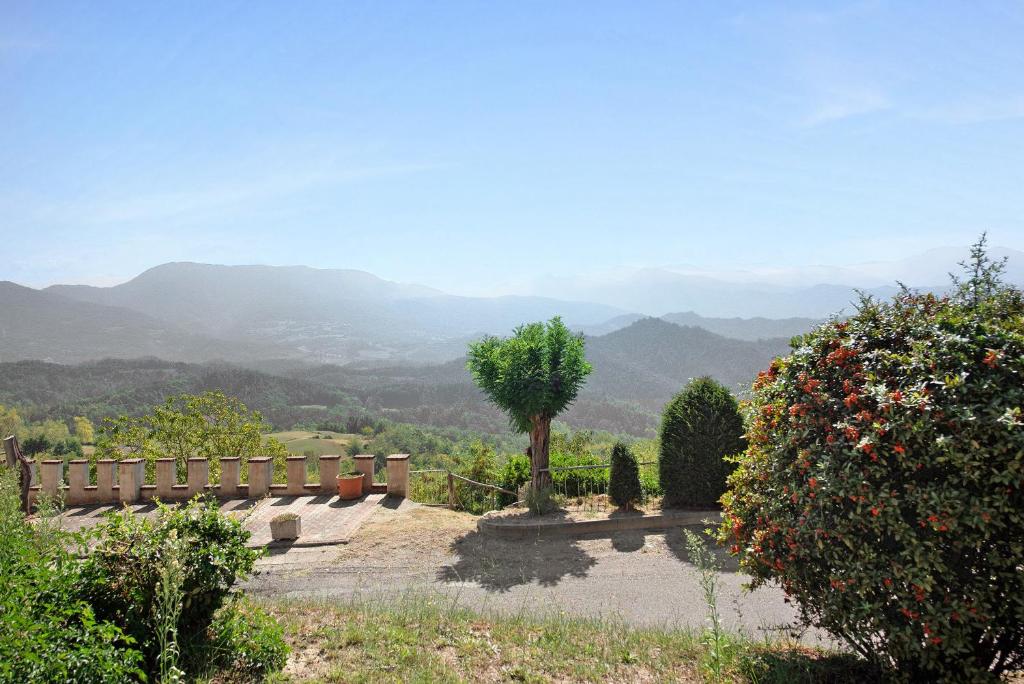 a bench with a tree and mountains in the background at Orizzonte Calmo in Borghetto Di Borbera
