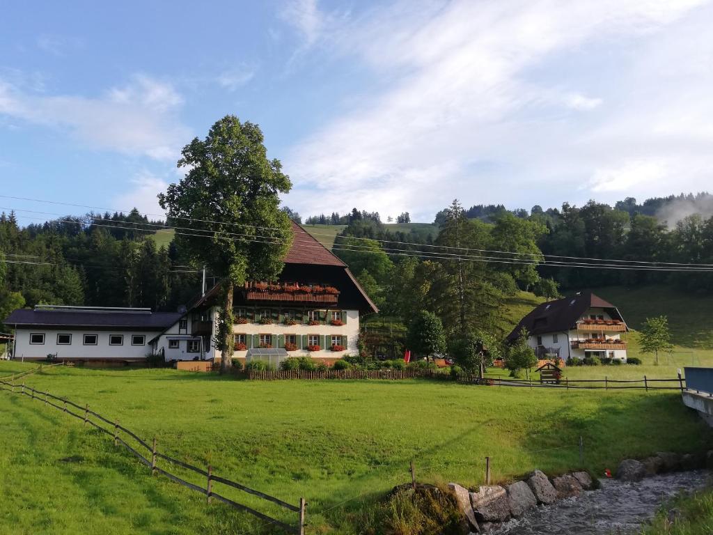 a large house in a field next to a river at Schlegelhansenhof in Buchenbach