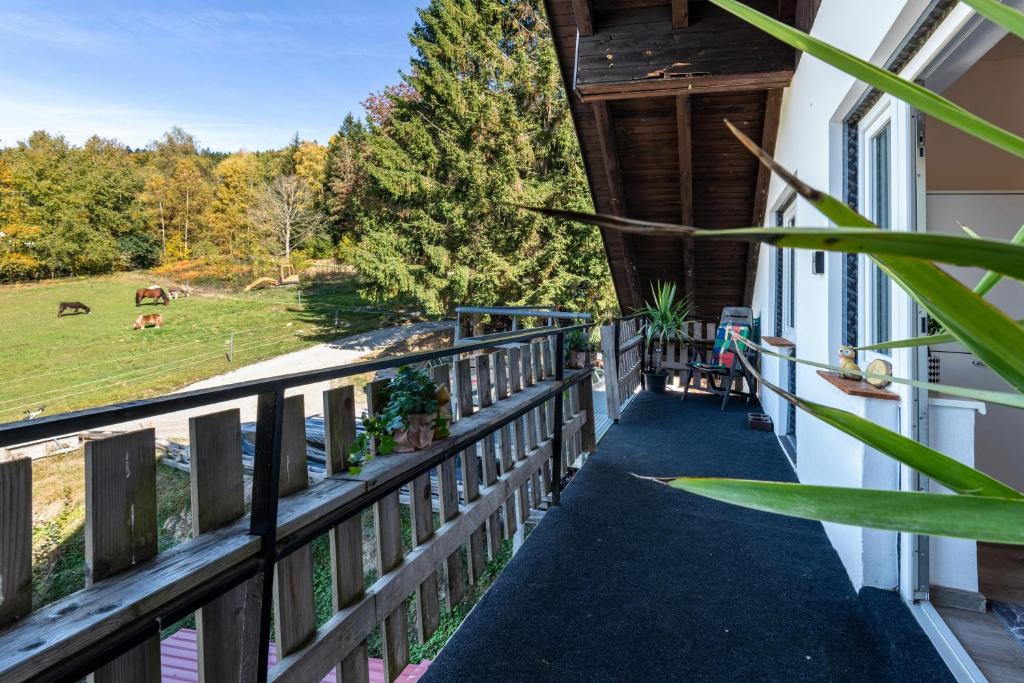 Fuchswiese - Two-Bedroom Deluxe Apartment With Balcony