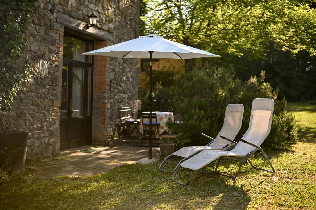 two chairs and an umbrella in a yard at Stella Nord Podere Carbone in Grosseto