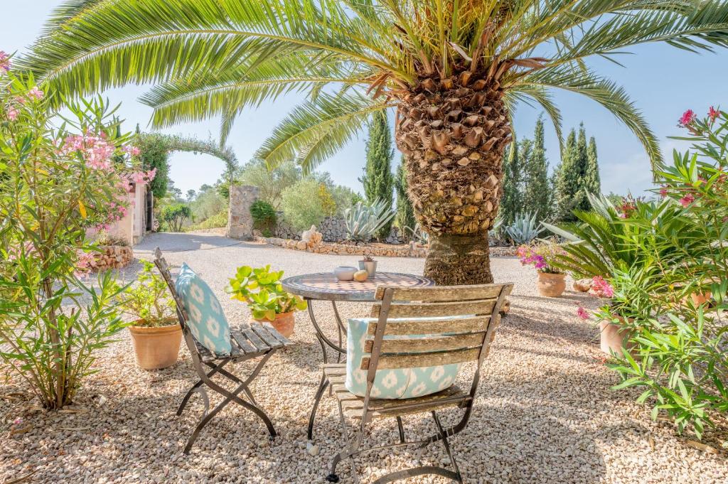 a table and chairs in a garden with a palm tree at Redonda 1 in Costitx
