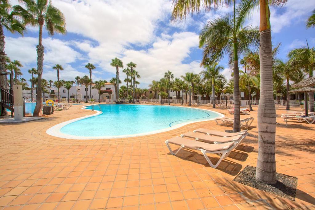 a swimming pool with two lounge chairs and palm trees at Oasis Duna_ Casa Elena Pool in Corralejo
