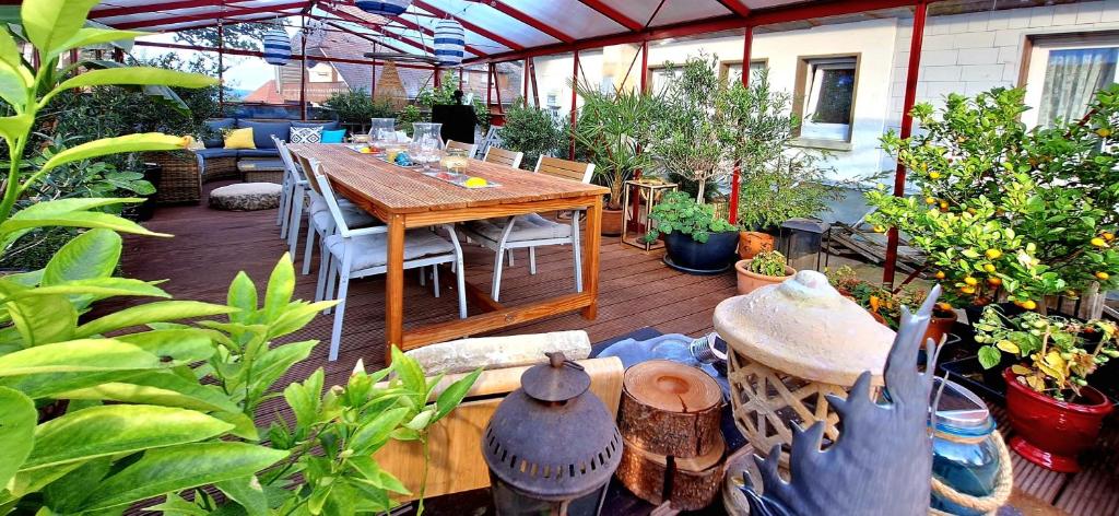 Pension Linde - Standard Single Room With Shower