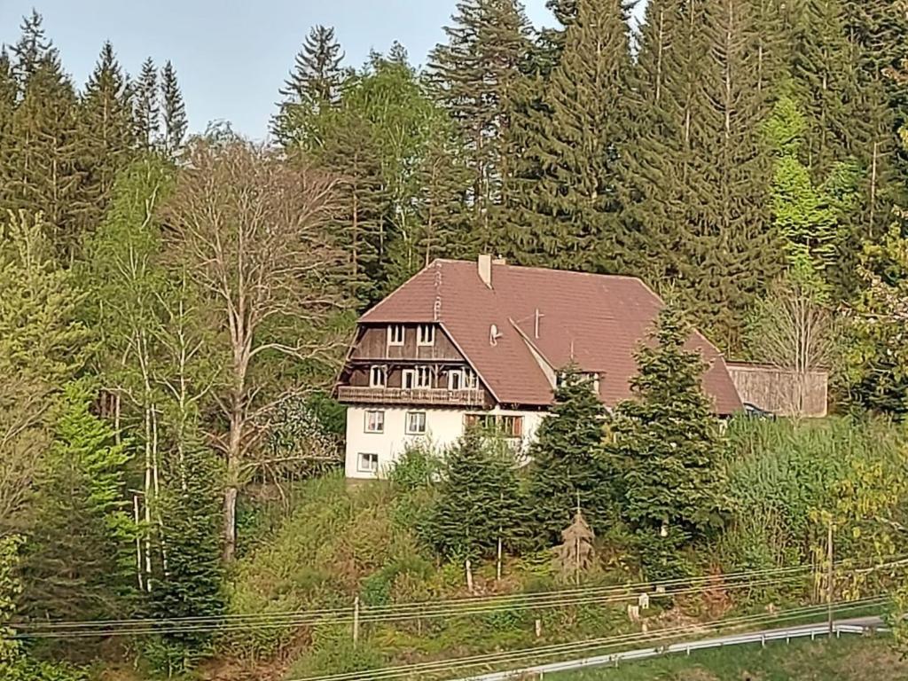 a large white house on a hill with trees at Ferienwohnung Auerhahn in Lauterbach