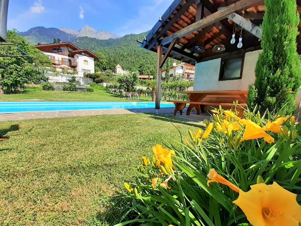 a yard with yellow flowers and a swimming pool at Fröhlichhof Wohnung Pergola in Lagundo