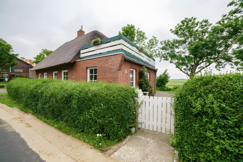 a red brick house with a white fence and bushes at Rosen Hus in Pellworm